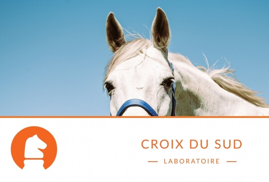 Rappels sur le comportement alimentaire naturel du cheval