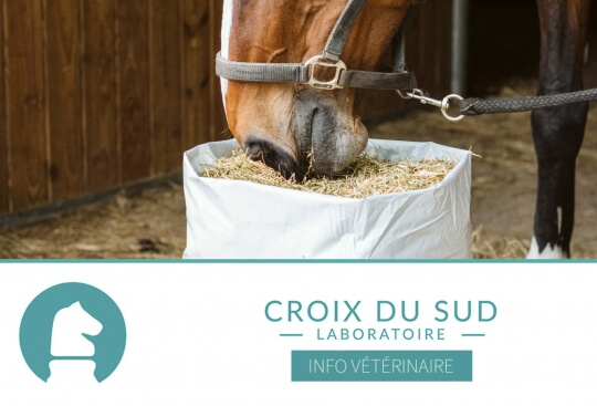 Les propriétaires modifient le régime alimentaire de leurs chevaux en fonction de leur âge pour utiliser de préférence un aliment « chevaux senior »