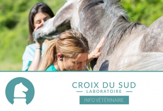 [Publication scientifique] La santé des chevaux âgés, en nette amélioration pour des raisons de gestion améliorée, et des pratiques de santé ayant beaucoup progressée …