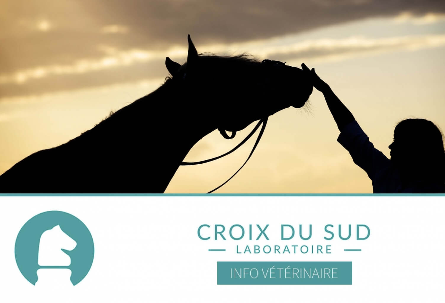 [Publication scientifique] Vieillissement chez l’homme, vieillissement chez le cheval, peut-on comparer ?