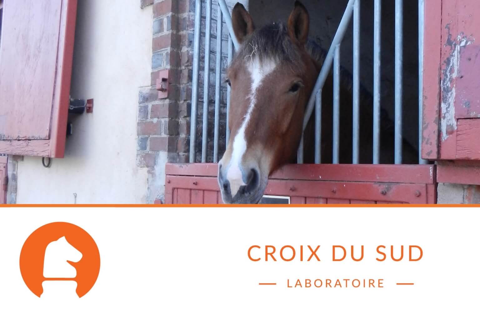 Quels sont les principes de l’alimentation chez le cheval au box ?