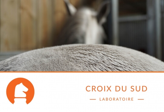 Le cheval dort-il debout ou couché ?