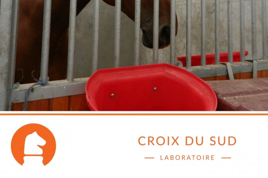 Comment distribuez l’aliment concentré du cheval ?