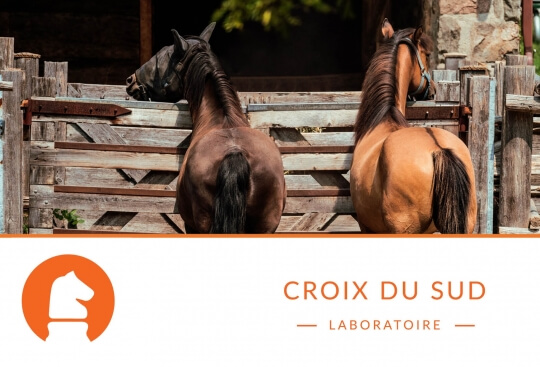 Comment distribuer correctement le fourrage à mon cheval ?